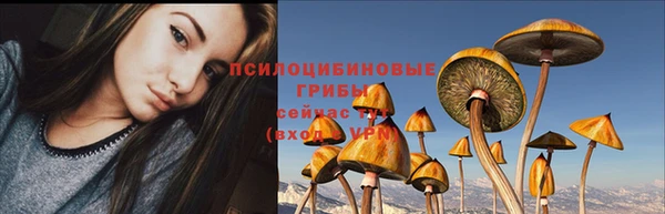 трава Алзамай