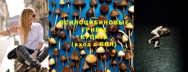 трава Алзамай