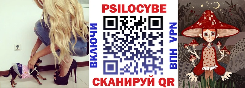Псилоцибиновые грибы GOLDEN TEACHER  omg сайт  Томск 